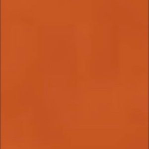 Meet your Posher, Janiesa